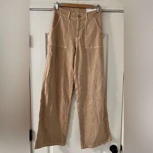 American Eagle Outfitters Baggy wide leg pants.